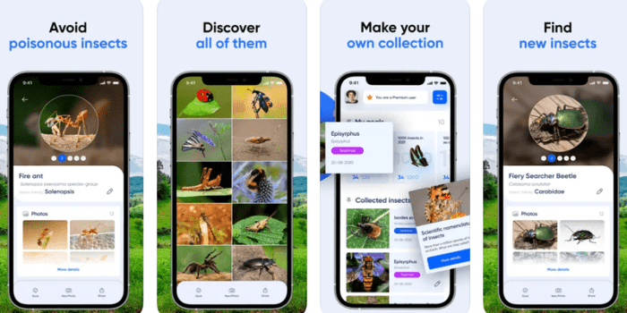 Download videos on dailymotion
