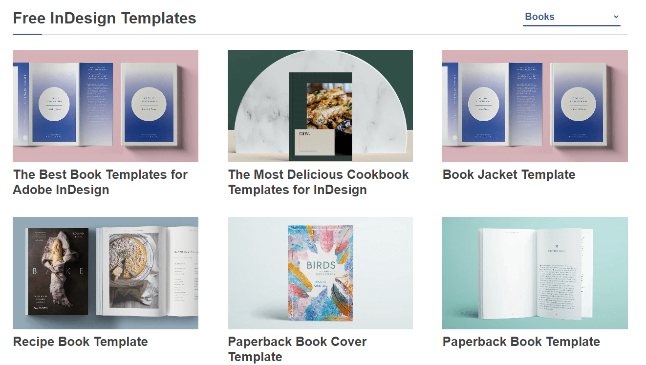8 Adobe InDesignVorlageplatERessourcen zum Erstellen visueller