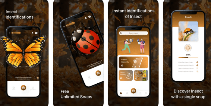Download Videos on Dailymotion Seamlessly