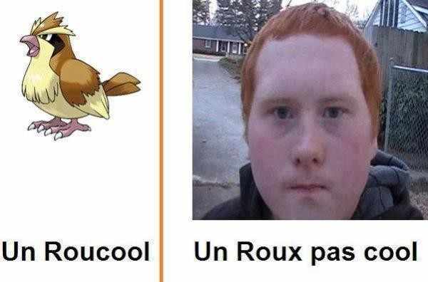 Les meilleures blagues sur les roux