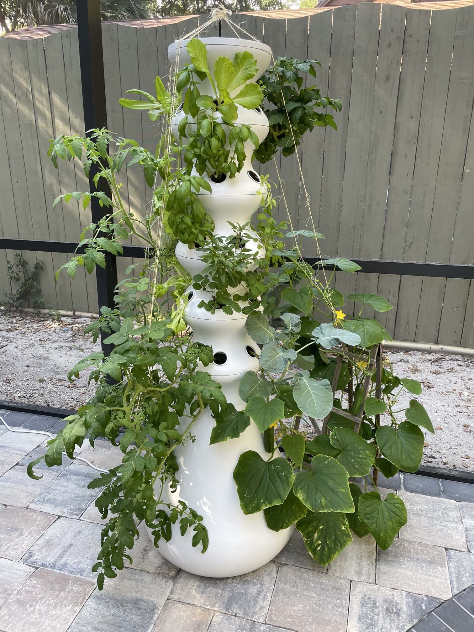 Lettuce Grow Hydroponic Grow Tower Review After Four Months Geek Mamas