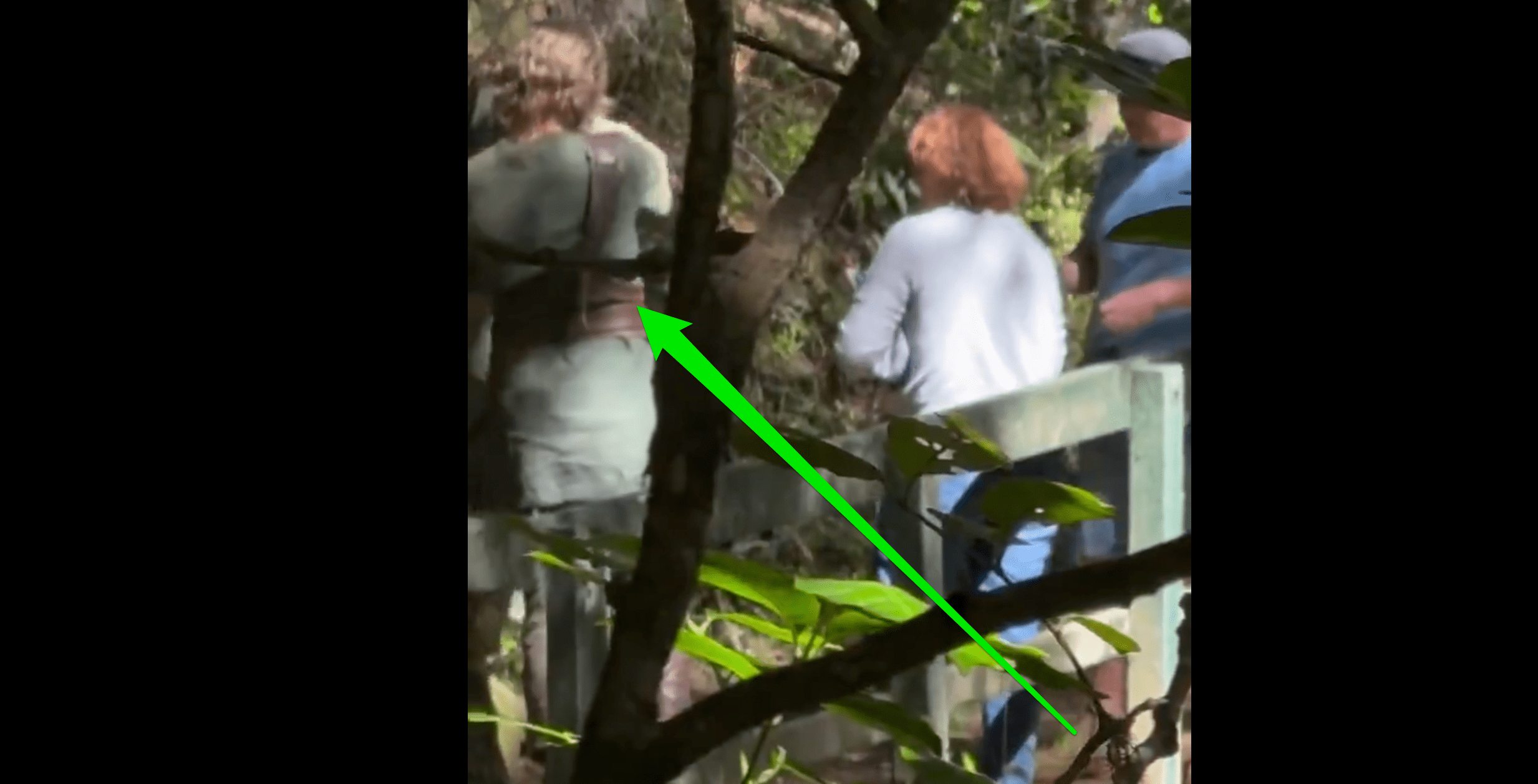Leaked Zelda Movie Set Video Hints at Major Character Reveal