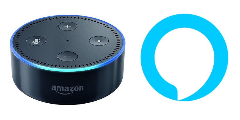 What's the Best Voice Assistant Solution for Your Home?