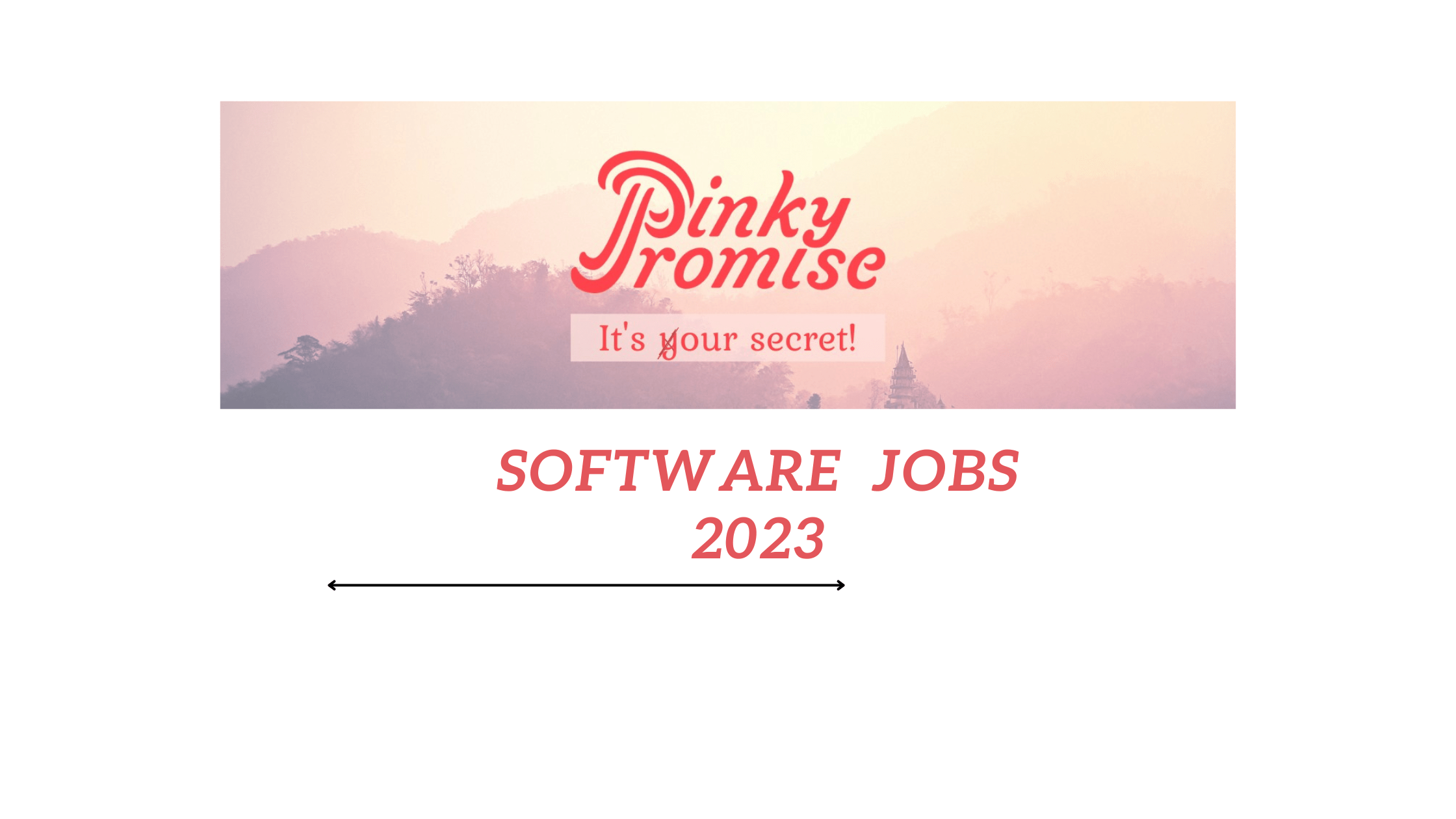 Software Engineer Job 2023 by Pinky Promise Join Our Team GeeksGod
