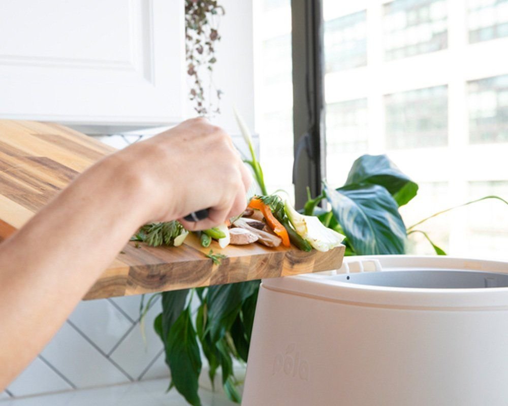 Lomi Composter review A superb countertop composter