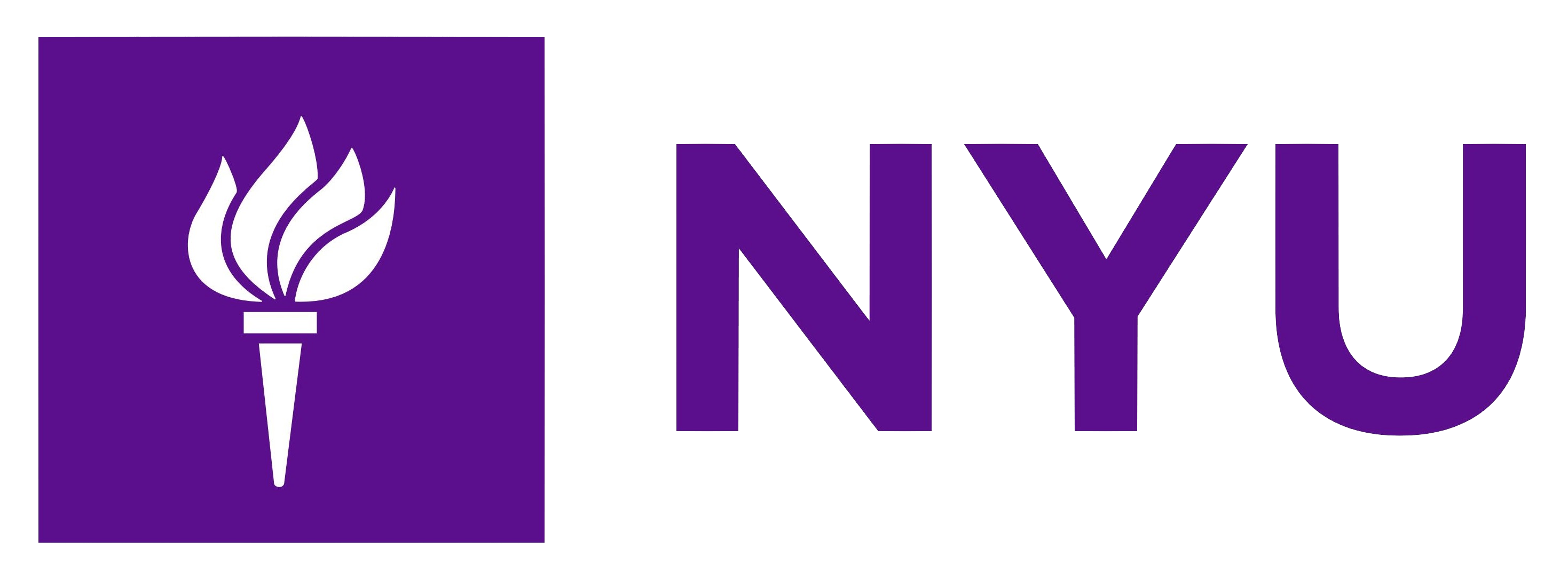 NYULogo Geeks Rule