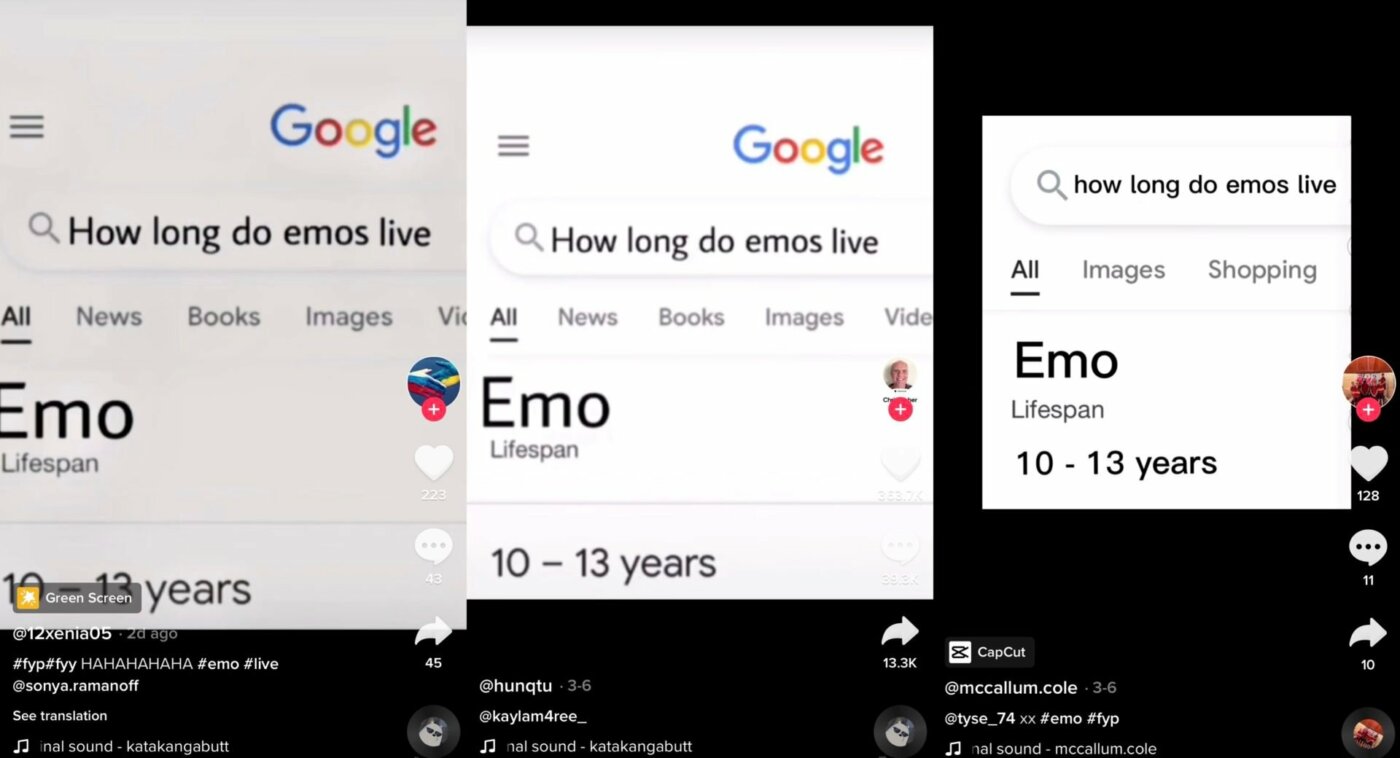 How Long Do Emos Live? Truth and Jokes Explained History behind this joke.