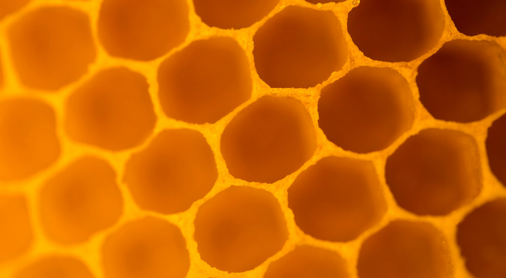 Why Cells Are Built Hexagonally? Geekswipe