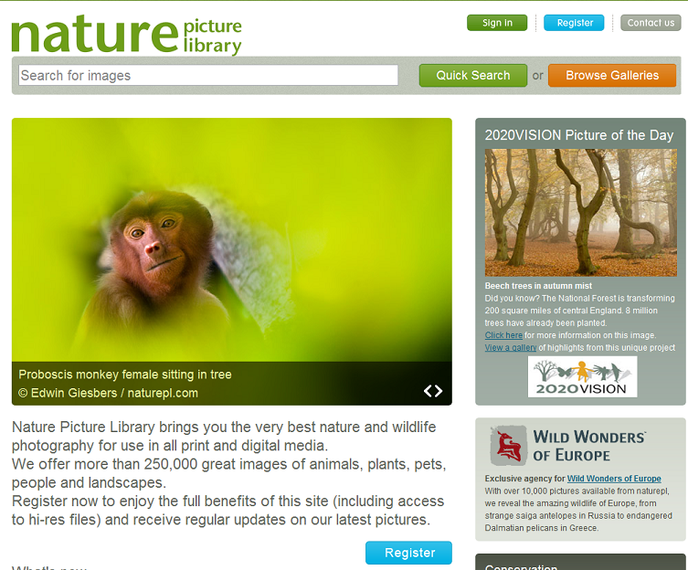 Wildlife Photography sites 10 Most Incredible Ones for Your