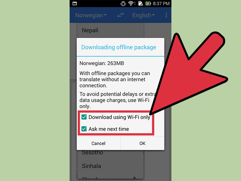 Download Offline Language Package of Google Translate
