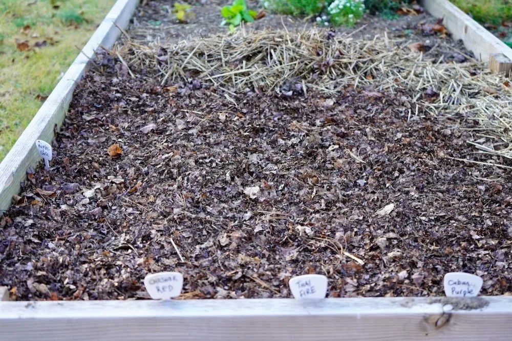 How To Make Leaf Mulch (And Its Amazing Benefits)