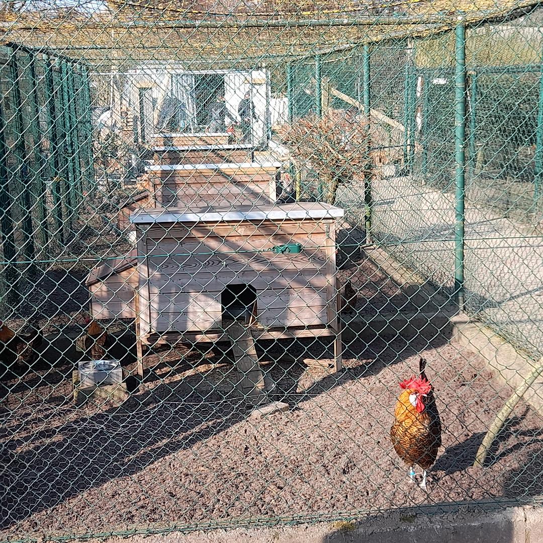 De Bogaard in Geel wordt de ideale plek om te verpozen en om iets bij