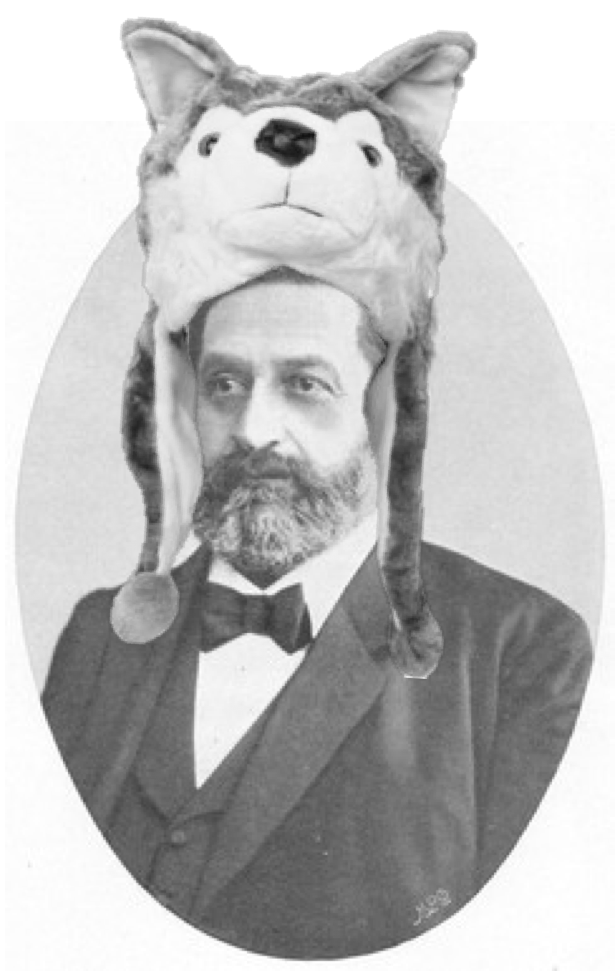 “Use it or Lose it” Wolff’s Law Geelong Hand Therapy