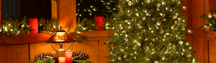 Solutions Nicolas Holiday Ltd.