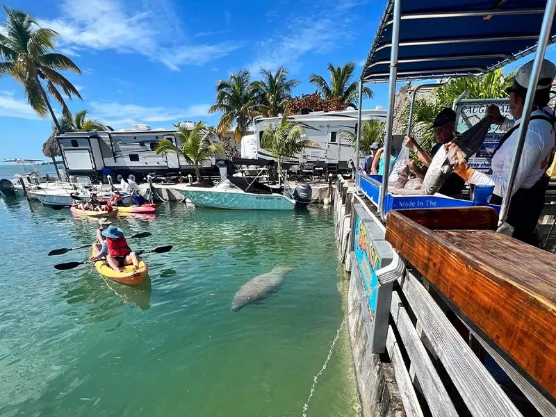 Geiger Key Marina, RV Park & Fish Camp The 1 RV Park In The Florida Keys