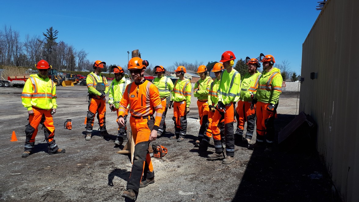Chainsaw Training! Gelderman Landscape Services