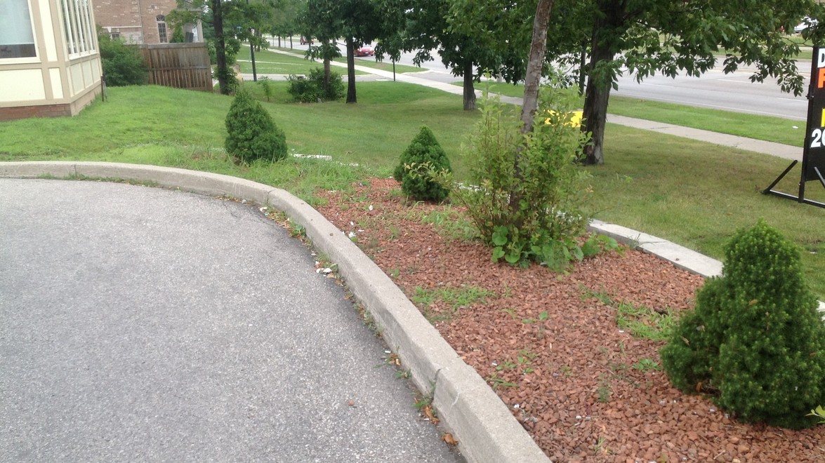 2025 William O’Connell Boulevard, Burlington A Comprehensive Overview