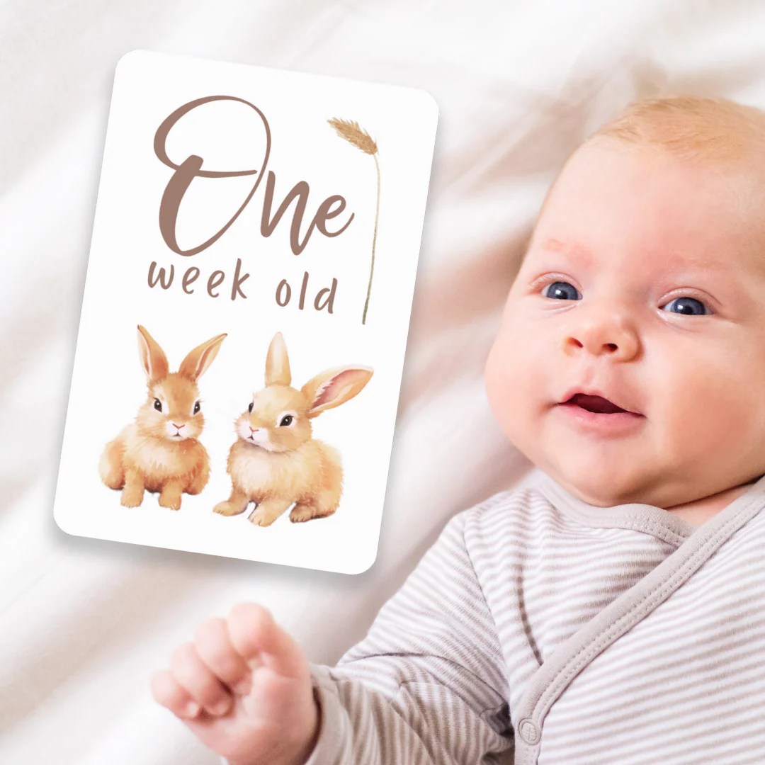 Baby Milestone Cards Bunny theme Baby Cards Milestones Gelli & Co