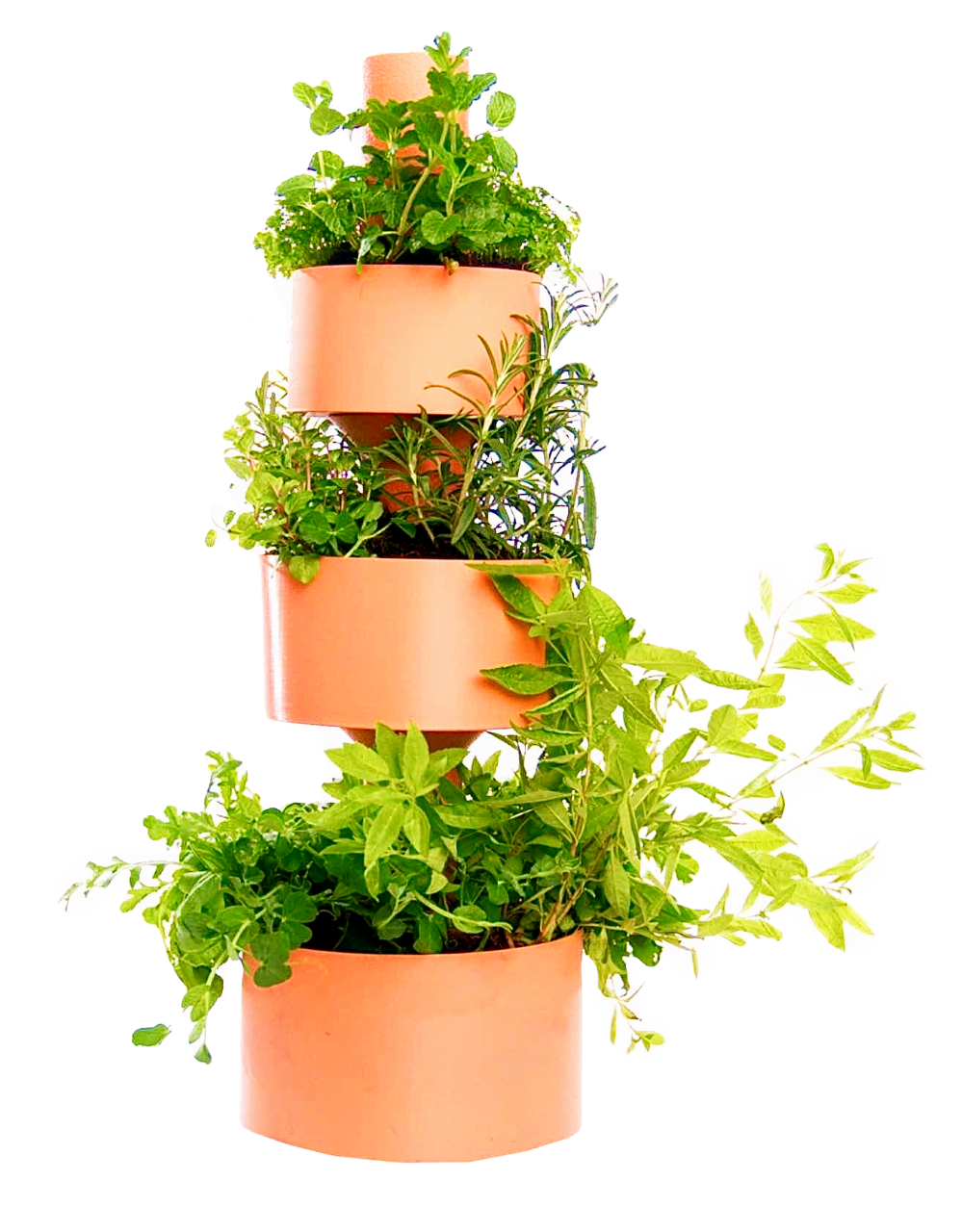 Garden Stack Revolutionizing Home Gardening with Olla Irrigation