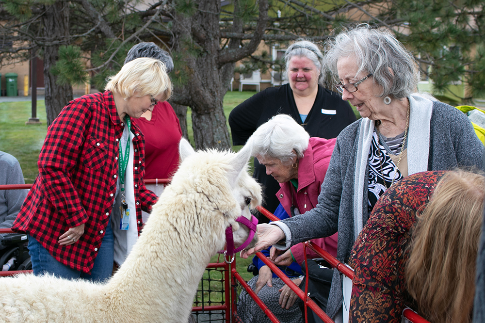 Melville Lodge GEM Health Care Group