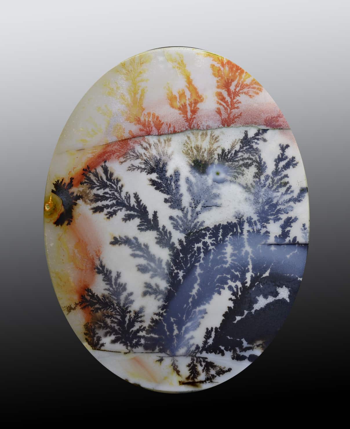 Museum Quality Dendritic Agate from a private Collection 289.30 ct Oval