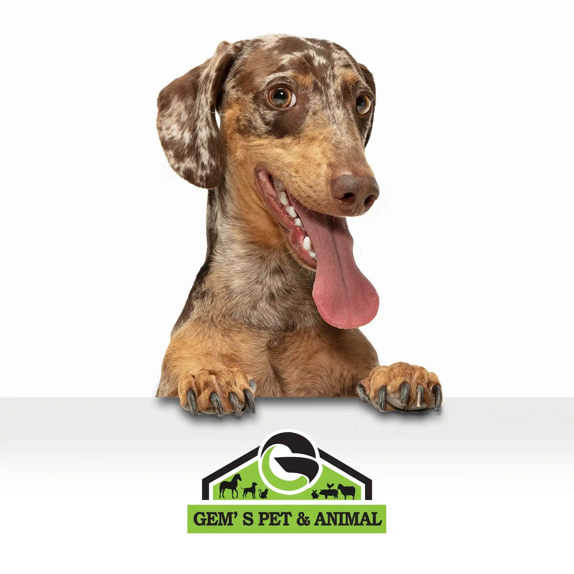 Pet Shop Paphos About Gems Our Story & Values