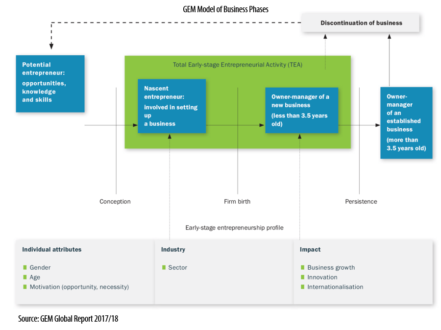 GEM Conceptual Framework