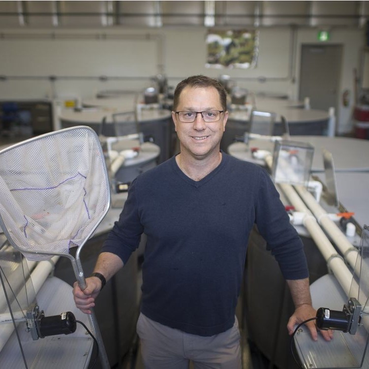 Dr. Trevor Pitcher » GENFISH