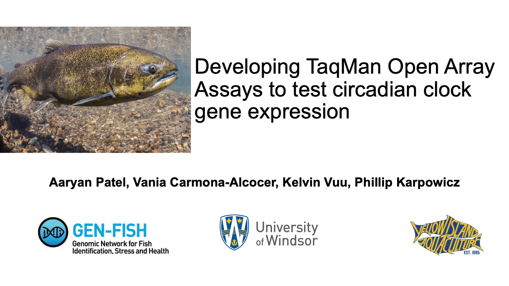 Developing TaqMan Open Array to test circadian clock gene expression