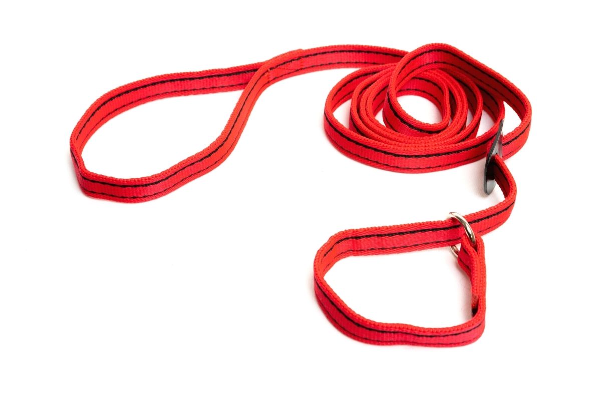 What is the Best Lead to Stop a Dog Pulling? Gencon All in 1 Dog Leads