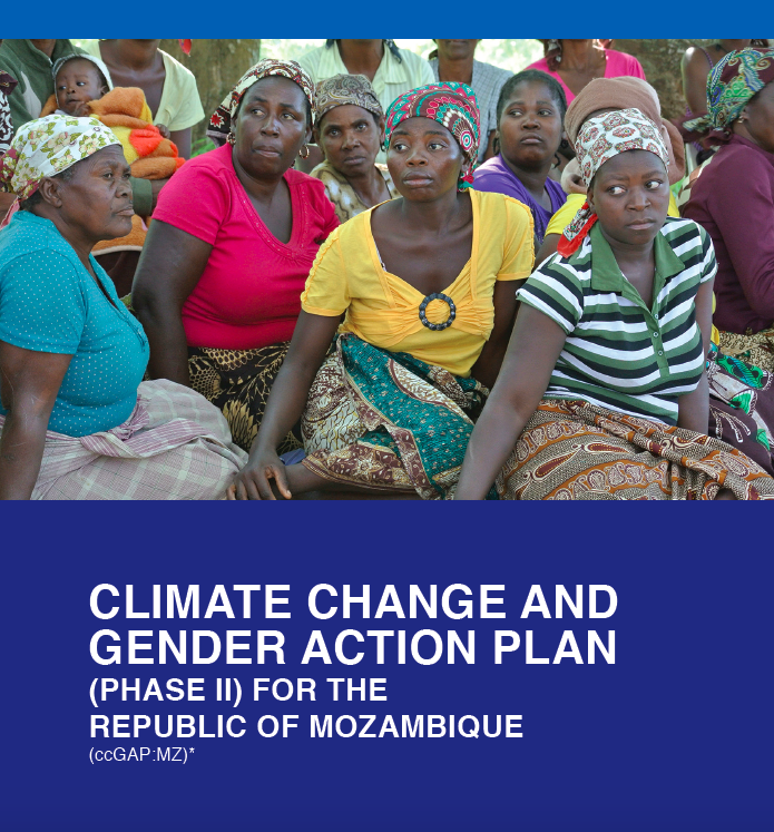 Mozambique Climate Change Gender Action Plan (ccGAP) Report Global