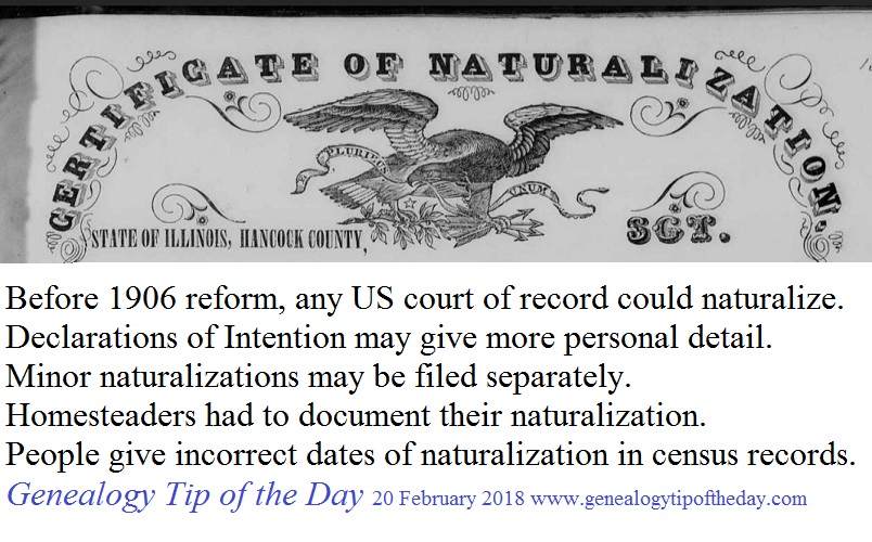 A Few Generalizations About Naturalizations Genealogy Tip of the Day
