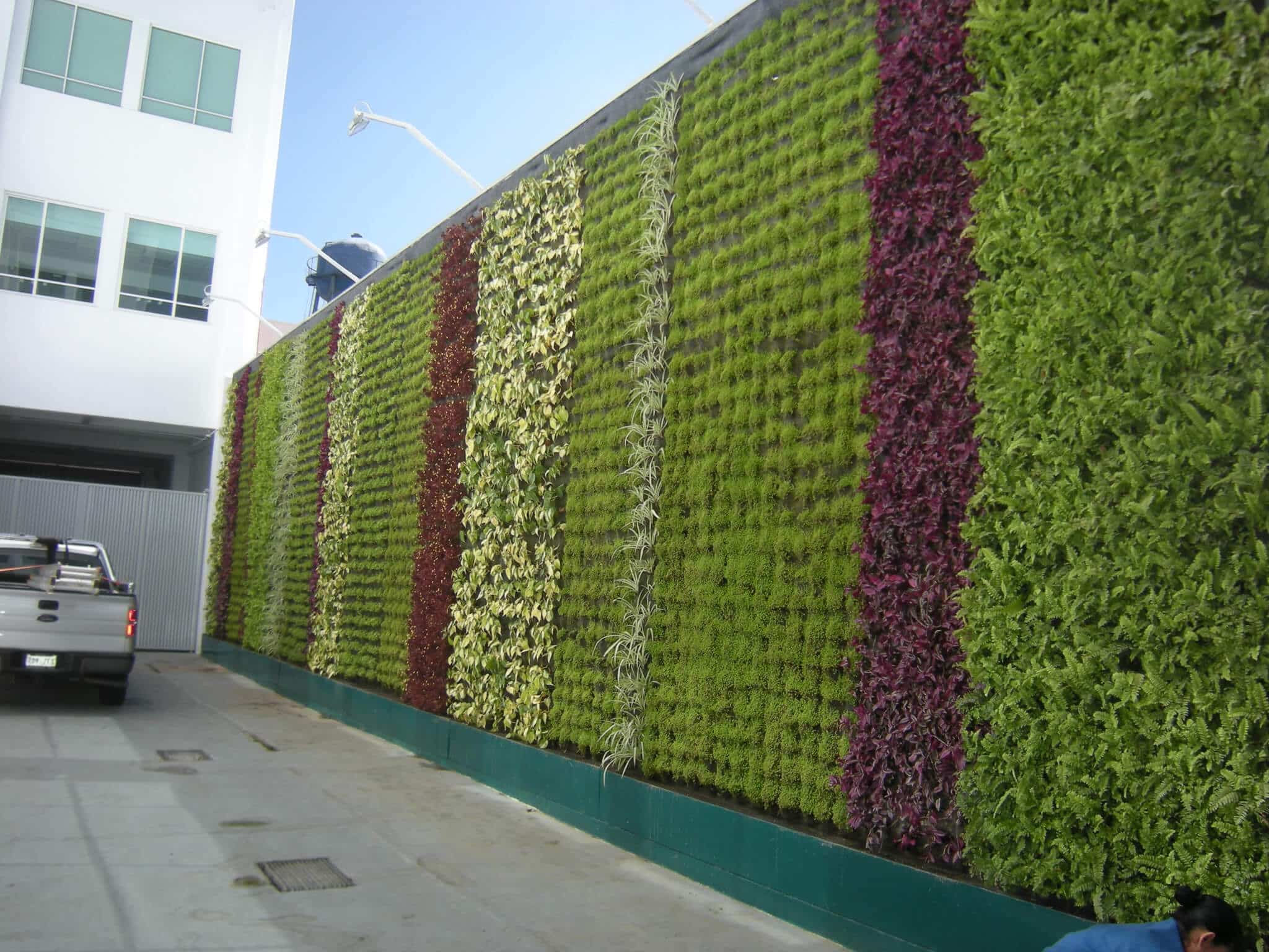 Muros Verdes naturales vs artificiales Generación Verde