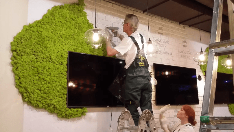 How To Make A Live Moss Wall - 5 Top Basic Tips