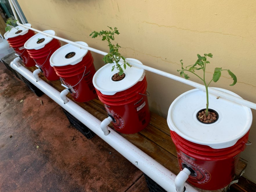 How To Build A DWC Hydroponic System 8 Easy Steps