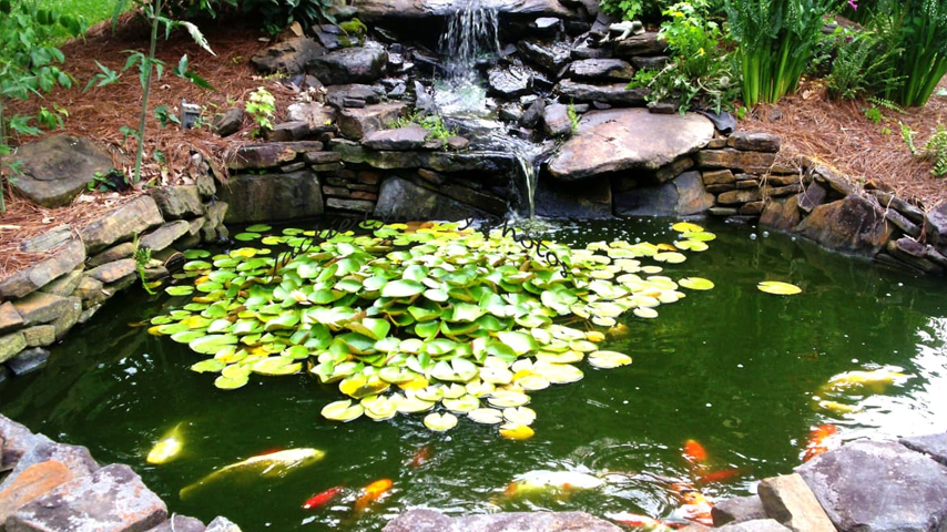 Stunning Above Ground Koi Pond 12 DIY Ideas - General Posting