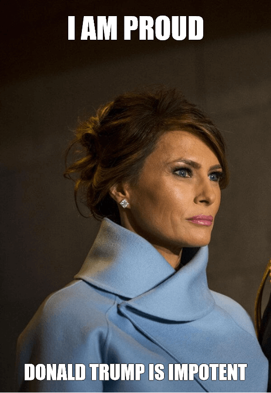 Melania Trump Meme Make Viral Memes in Seconds
