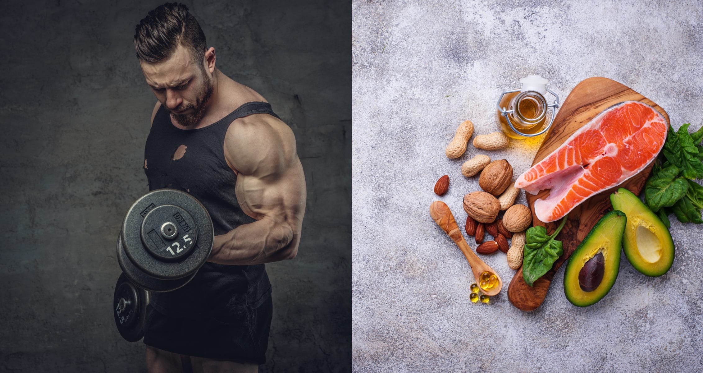 HighProtein Diet for Bodybuilders What You Need to Know? Sheru