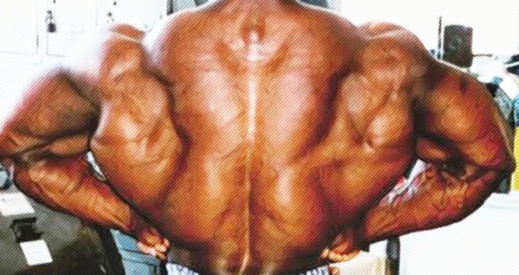 build big lats > OFF59