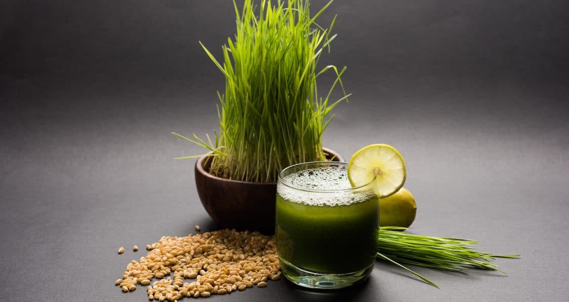 Bodybuilding, Juicing & Why You Should Avoid Those Packaged Juices