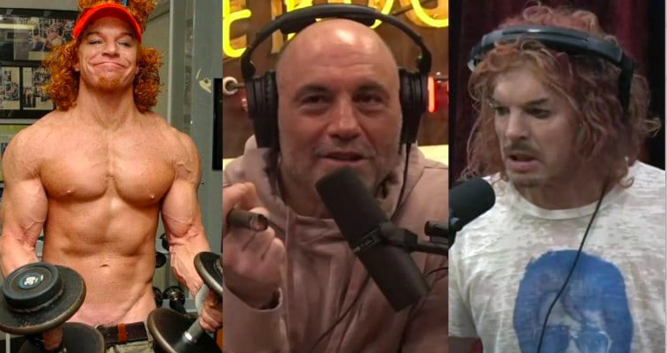 Carrot Top Synthol Shoulders