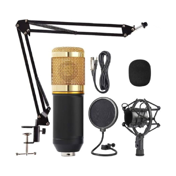 Legendary Vocal Professional Condenser Microphone The Game Shop