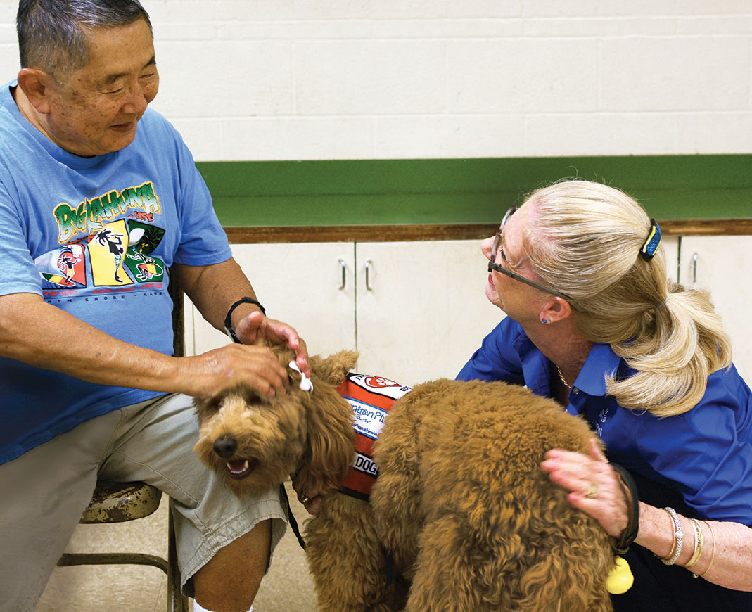 Animal Assisted Therapy Generations Magazine
