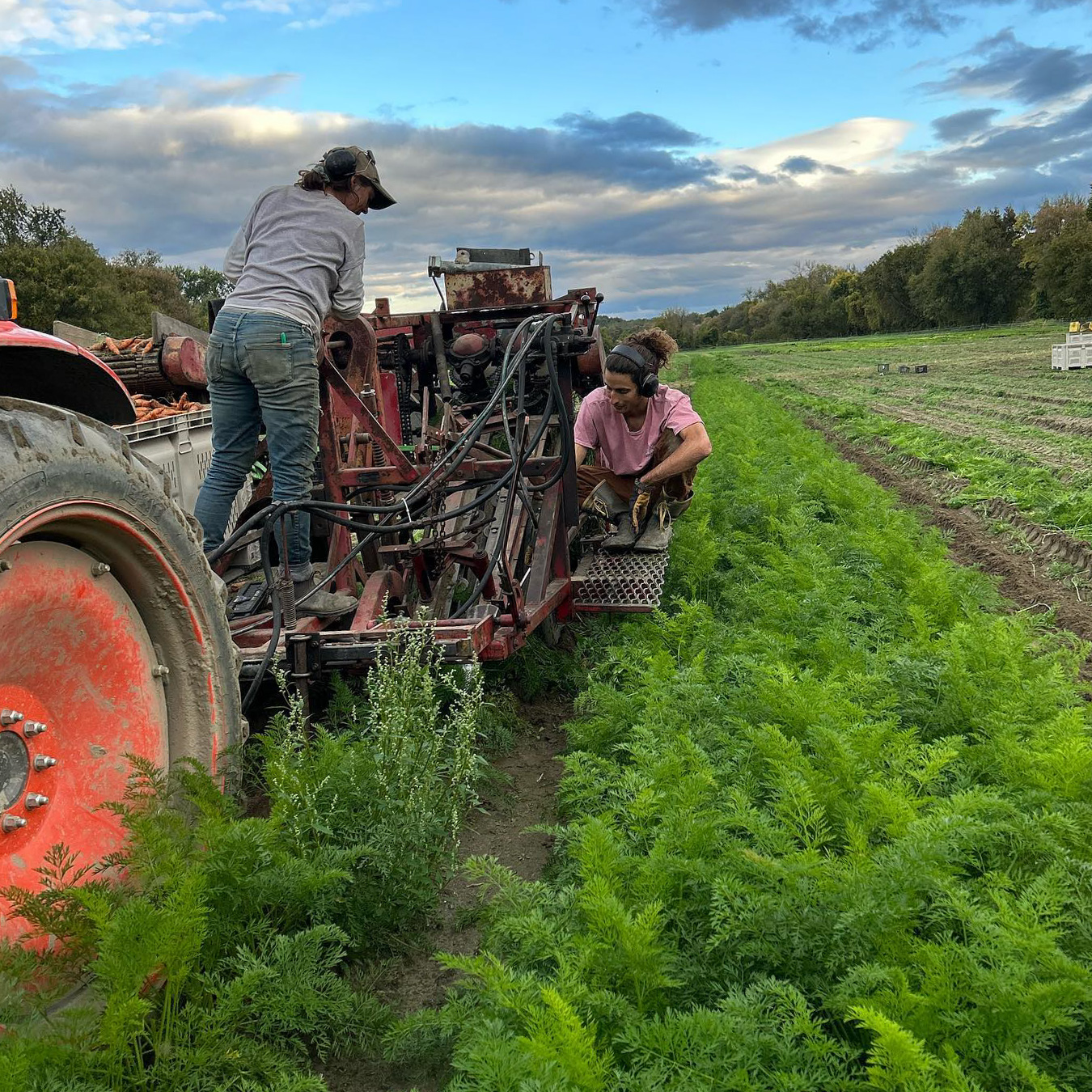 Member Spotlight Rob Rock & Pitchfork Farm Generator