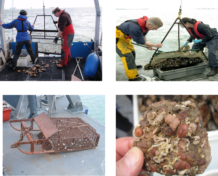 Sampling Techniques Discover Oceanography