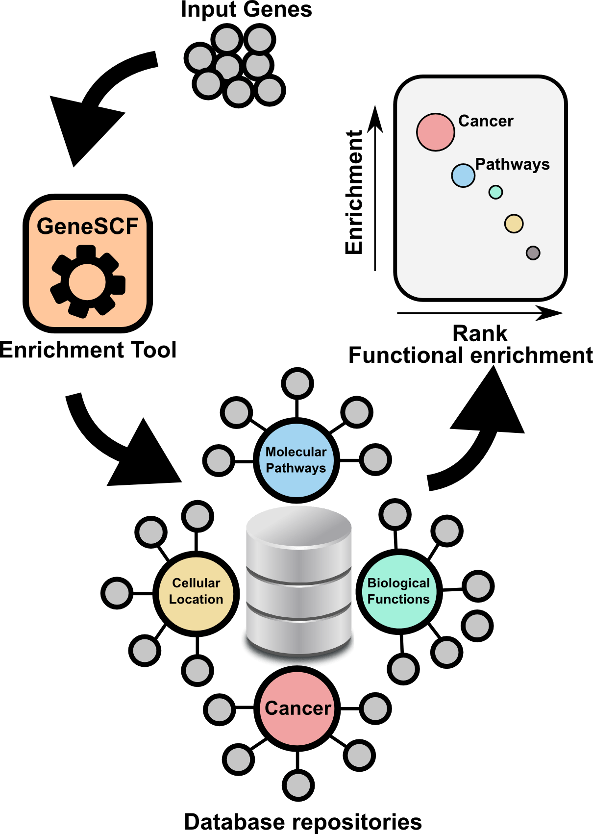 BOL Tool Gene Set Clustering based on Functional annotation (GeneSCF)