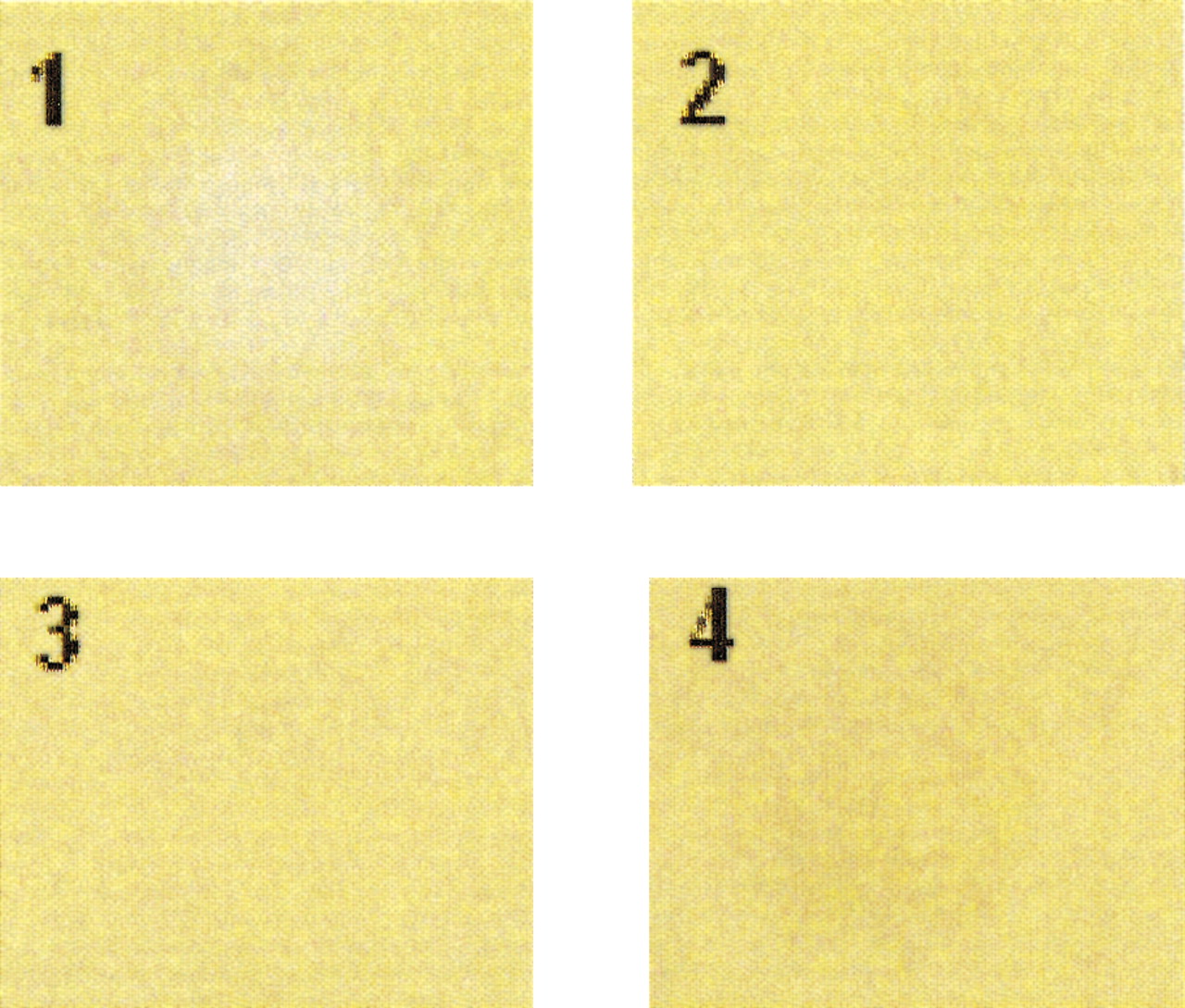 The chaplins a family of hydrophobic cellsurface proteins involved in