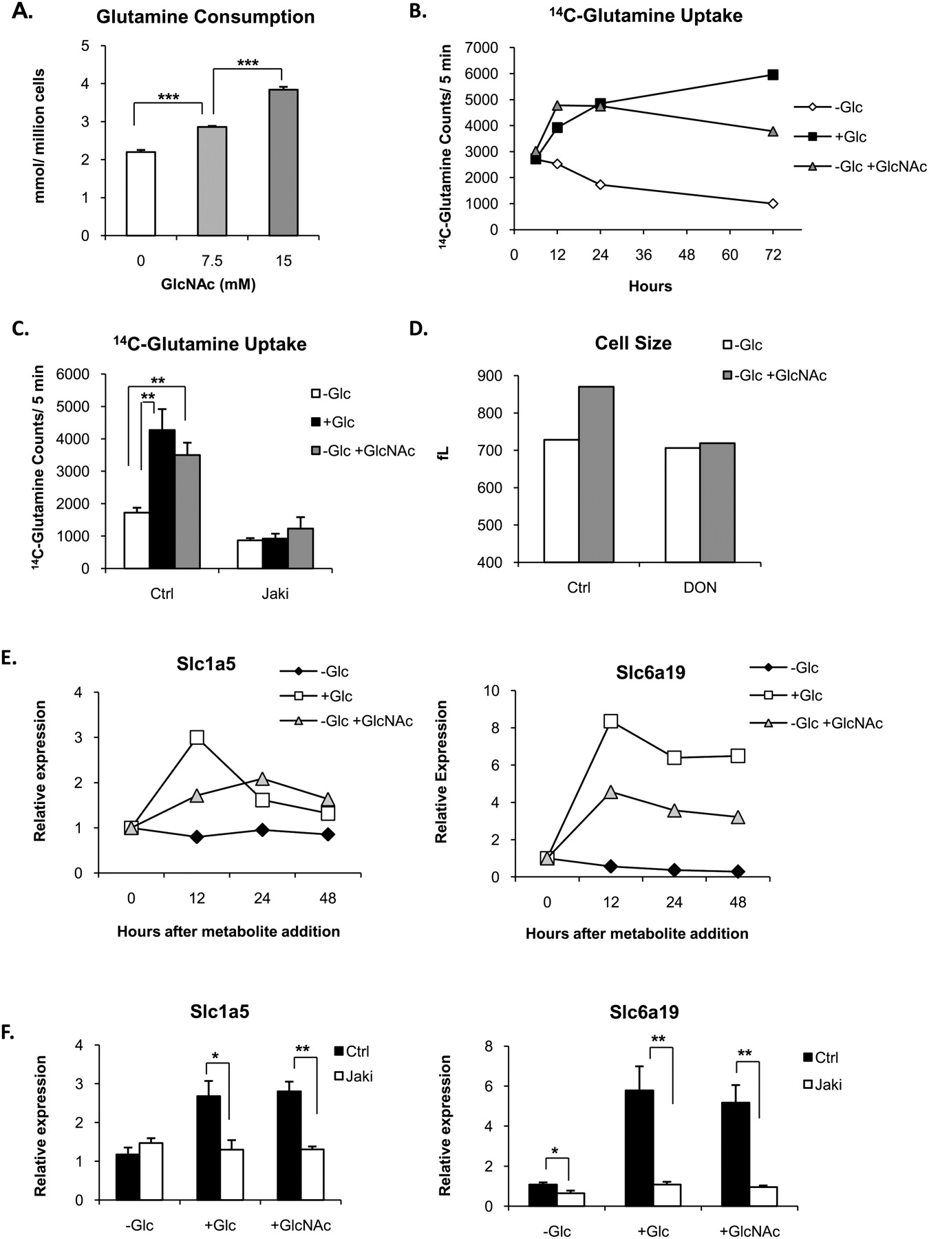 What Does Glutamine Do In Cell Culture at Jimmie Templeton blog