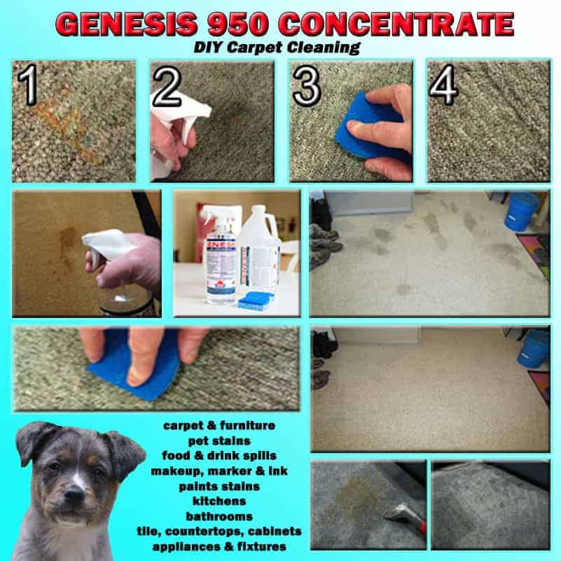 Spring carpet cleaning Genesis 950 Concentrate