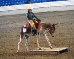 Maya Del Rey | Genesis Farms Jacks